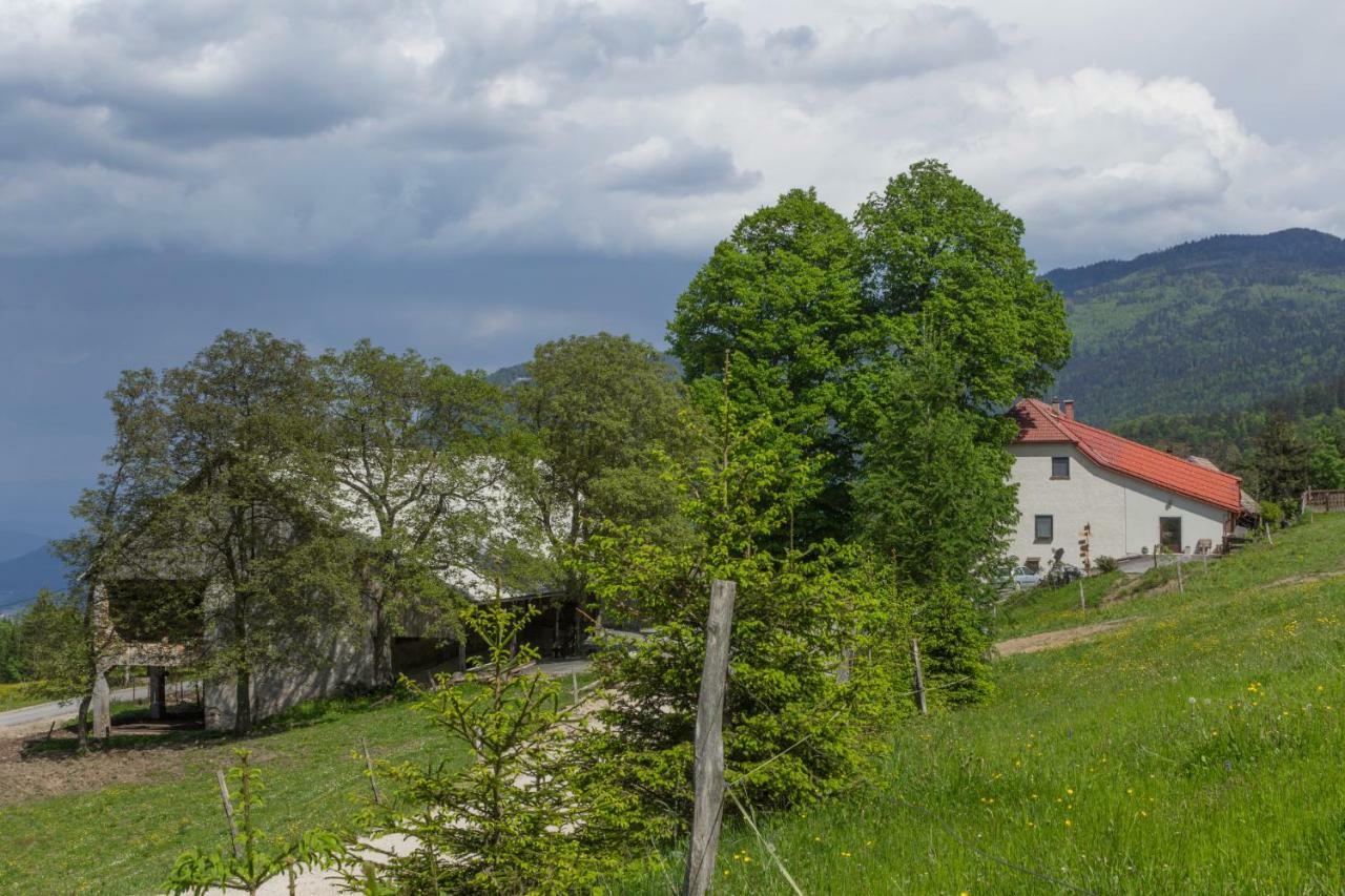 Turisticna Kmetija Toman Villa Gornji Grad Eksteriør billede